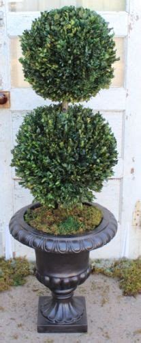 Preserved Double And Triple Ball Topiaries Forever Green Art