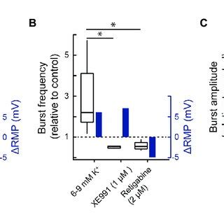 Effects Of Blocking Kcnq Channels With Xe On Inspiratory Burst