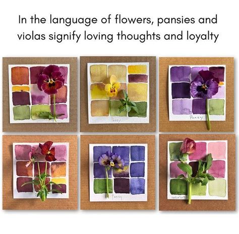 Four Different Pictures With Flowers In Them And The Words In The