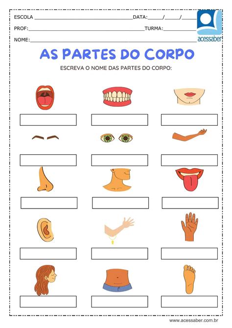 Atividades Das Partes Do Corpo Ano Image To U