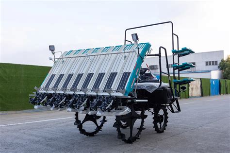 Rows Walking Rice Paddy Rice Planting Machine Automatic Operated