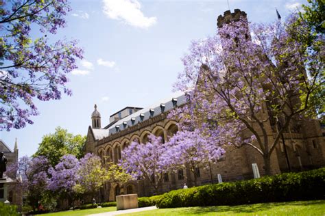 The University Of Adelaide Ngee Ann Academy