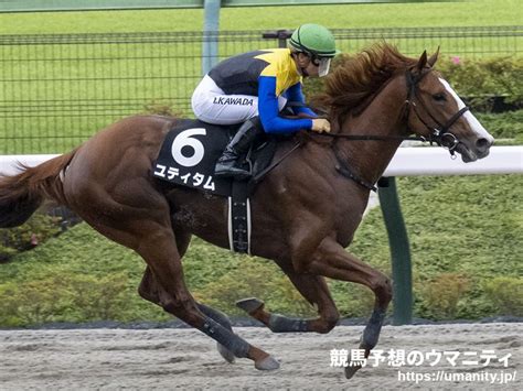 スワーヴアラミス競走馬2015年産 成績｜地方競馬予想のウマニティ