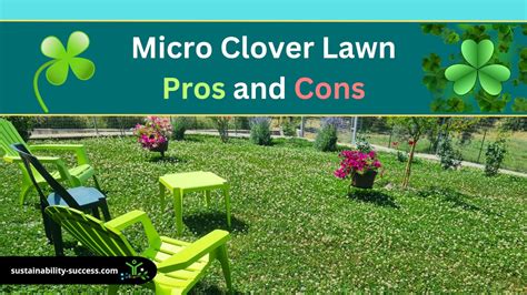 14 Micro Clover Lawn PROS and CONS