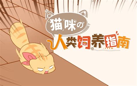 猫咪的人类饲养指南 动态漫第54集 国创 全集 高清正版在线观看 Bilibili 哔哩哔哩