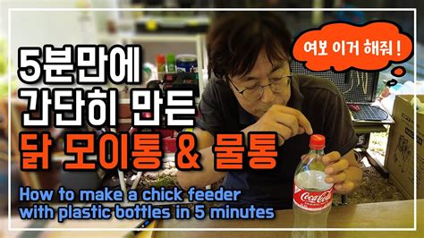 5분만에 병아리 닭모이통 과 자동물통 만드는법 여보이거 해줘 How To Make A Chick Feeder With