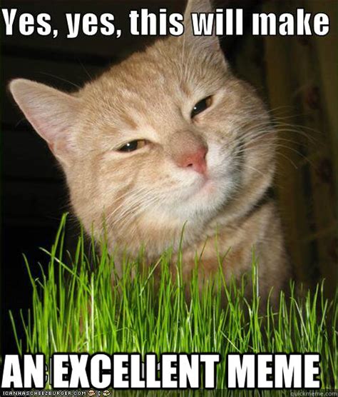 An Excellent meme - Yes Cat - quickmeme