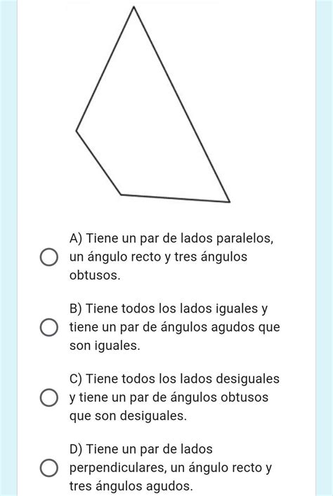 Cu L De Las Siguientes Opciones Describe Las Caracter Sticas Que