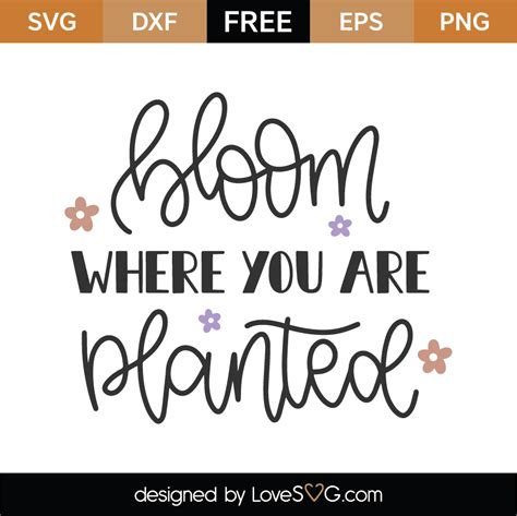 Free Bloom Where You Are Planted Svg Cut File Lovesvg