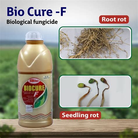 T STANES Bio Cure F Trichoderma Viride Liquid At Rs 357 Litre In