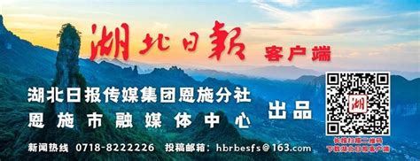 土豆花儿开，薯香迎客来 湖北日报新闻客户端