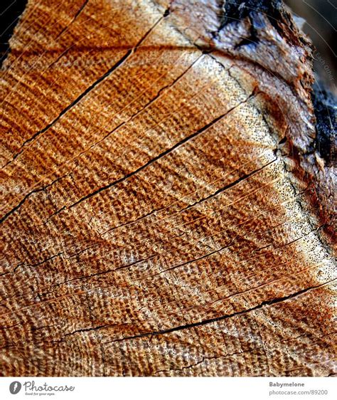 Natur Pur Holz Baum Muster Ein Lizenzfreies Stock Foto Von Photocase