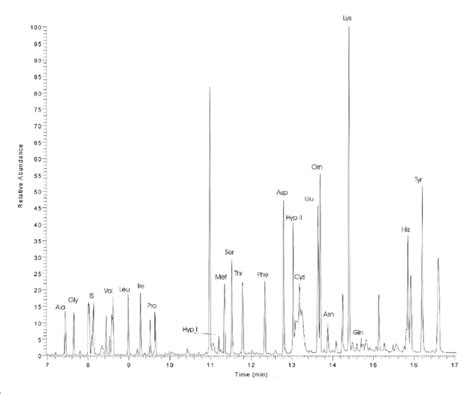 Gc Ms Chromatogram For The Analysis Of An Amino Acid Standard Mixture Download Scientific