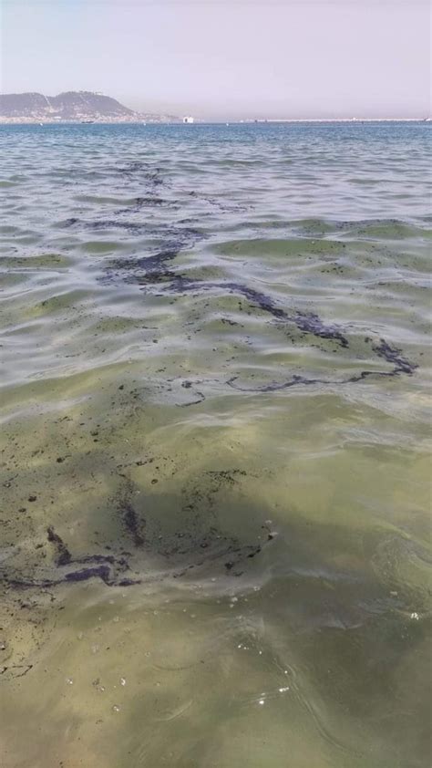 Verdemar Denuncia Un Nuevo Vertido De Hidrocarburos En La Playa De El