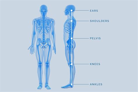 Correct Standing Posture Rehab Concepts