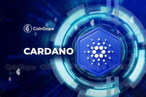 CoinStats Cardano CEO Unveils Interim Constitution Sig