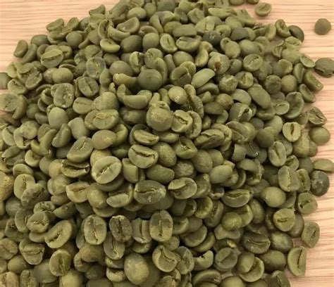 Robusta Cherry Peaberry Coffee Beans At Rs Kg Coffee Beans In