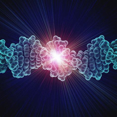 Dna Molecule Photograph By Laguna Design Pixels