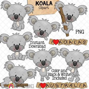 Koala Clipart Cute Koala Bears Posing Graphics By Scrappin Doodles