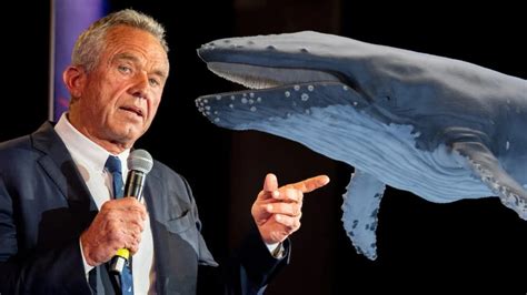 RFK Jr. and the Whale: Environmental Group Calls for Federal ...