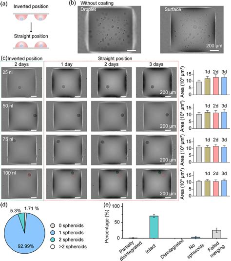 3D Spheroid Culture In Merged Droplets On The DMA A Schematic