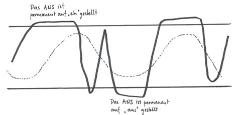 Das Autonome Nervensystem Stille Bewegt