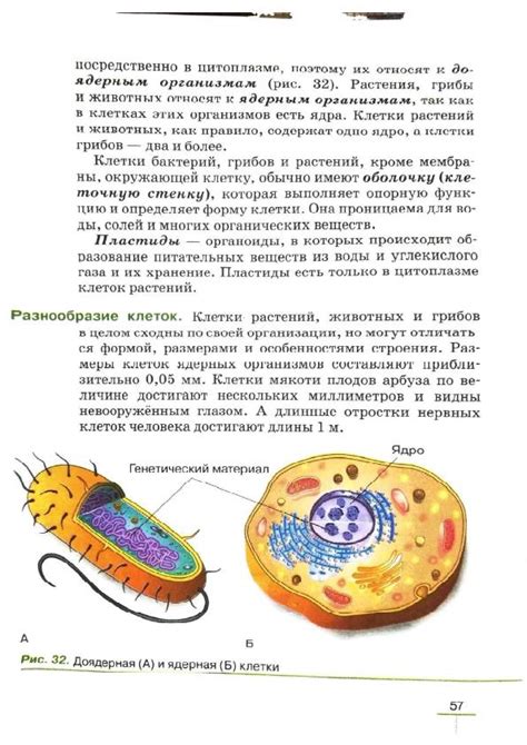 Читать учебник биология 5 класс Пасечник 2021 онлайн » Фотография 32636