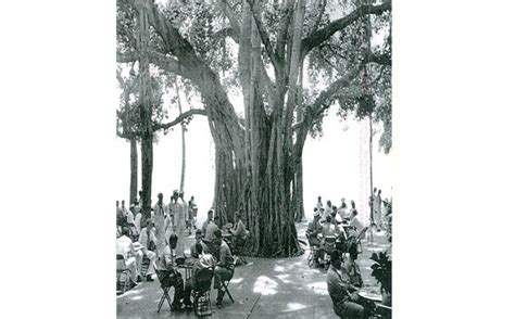 The old banyan tree at the Moana Hotel, Waikiki Beach. | Waikiki beach ...