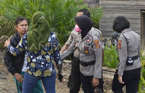 Penangkapan Terduga Pelaku Pembakar Hutan Antara Foto