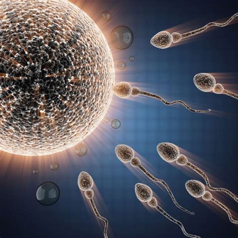 Assisted Reproductive Technology Art In Iran Medpersia Medical Tourism