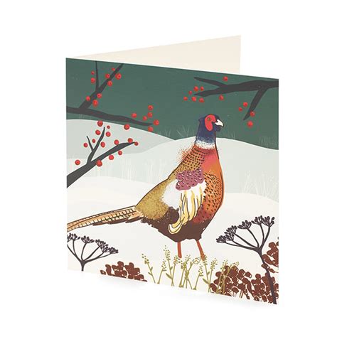 Pheasant Christmas Card 10 Pack Oxfam Gb Oxfams Online Shop