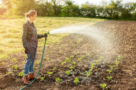 Premium Photo Woman Watering The Crops