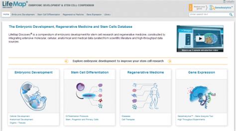 Mapping The Embryo For Developmental Biologists And Stem Cell Researchers Lifemap Discovery® A