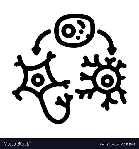 Neurogenesis Neuroscience Neurology Line Icon Vector Image