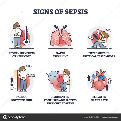 Tanda Tanda Sepsis Sebagai Infeksi Keracunan Darah Gejala Outline