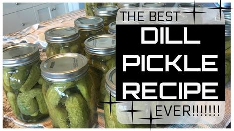 Best Dill Pickle Recipe Plus Canning Tips And Tricks Youtube Pickling Recipes Best Dill