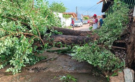 Inmet Emite Alertas De Baixa Umidade Do Ar E Vendaval No Piau Gp