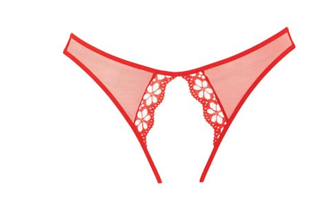 Mirabelle Plum Alllure Lingerie