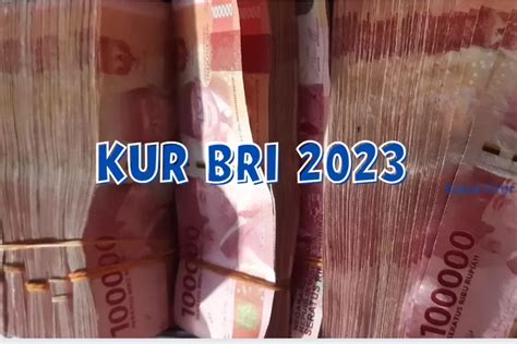 Kur Bri Hadirkan Peluang Cerah Bagi Umkm Indonesia Plafon