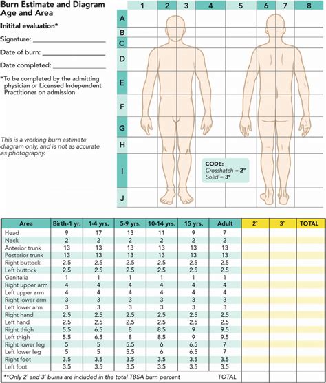 Lundbrowder Burn Diagram And Table Lundbrowder Burn Diagram And