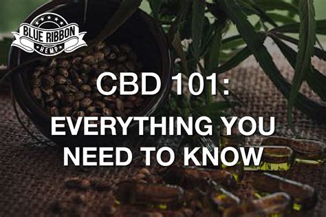 Cbd 101 All The Things You Need To Know Orlando Magazine