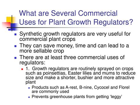 Ppt Understanding Plant Growth Regulators Powerpoint Presentation