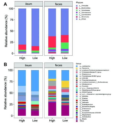 Fecal Bacterial Community At The Phylum And Genus Levels In The Ileal