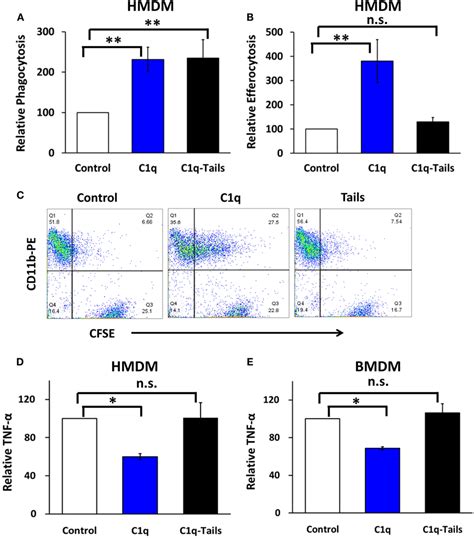 Frontiers Complement Component C Q Programs A Pro Efferocytic