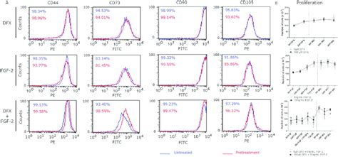 The Effect Of Dfx Fgf 2 Or Combination Treatment Of The Msc Marker