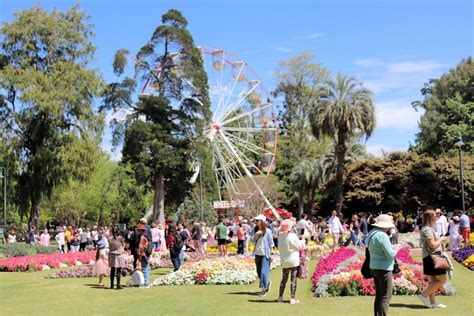 3 Amazing Flower Festivals for Spring - Camps Australia Wide