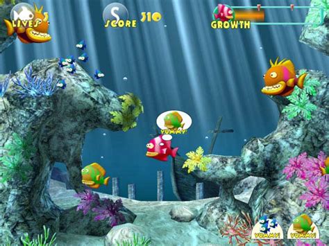 Big Fish Games - Best Animals