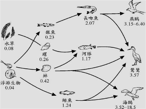 1生态系统中的物质循环word文档在线阅读与下载无忧文档