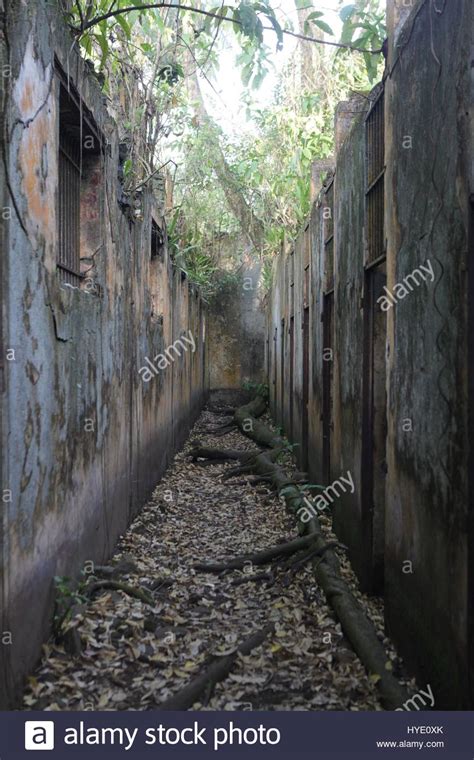 Devil's Island Prison Stock Photos & Devil's Island Prison Stock Images ...