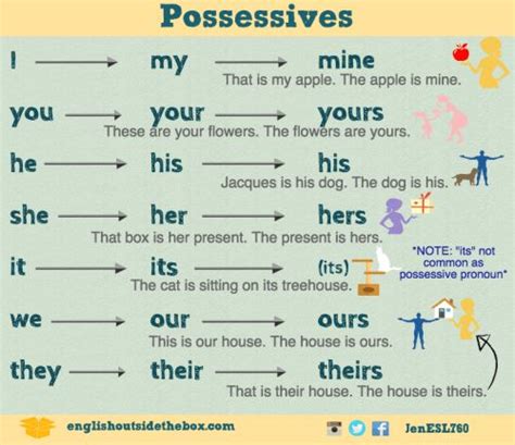 Possessive Pronouns Possessive Adjective And Examples Possessive Adjectives Possessive